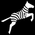 Zoo Code