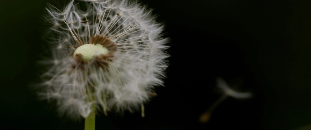 Cover image for Advent of AI 2025 - Day 17: Building a Wishlist App with Goose and MCP-UI