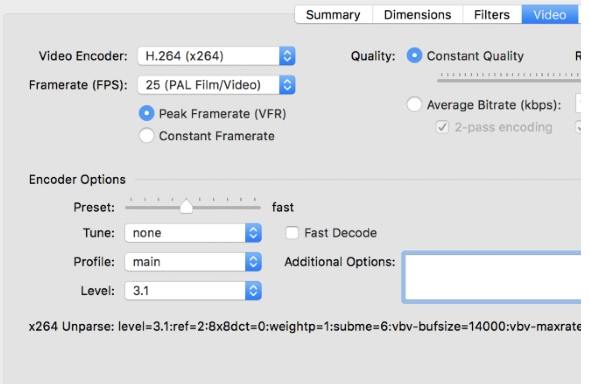 Screenshot of available video encoders