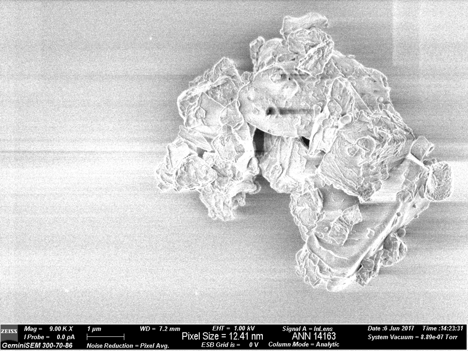 Black and white enlarged image of moon dust particle