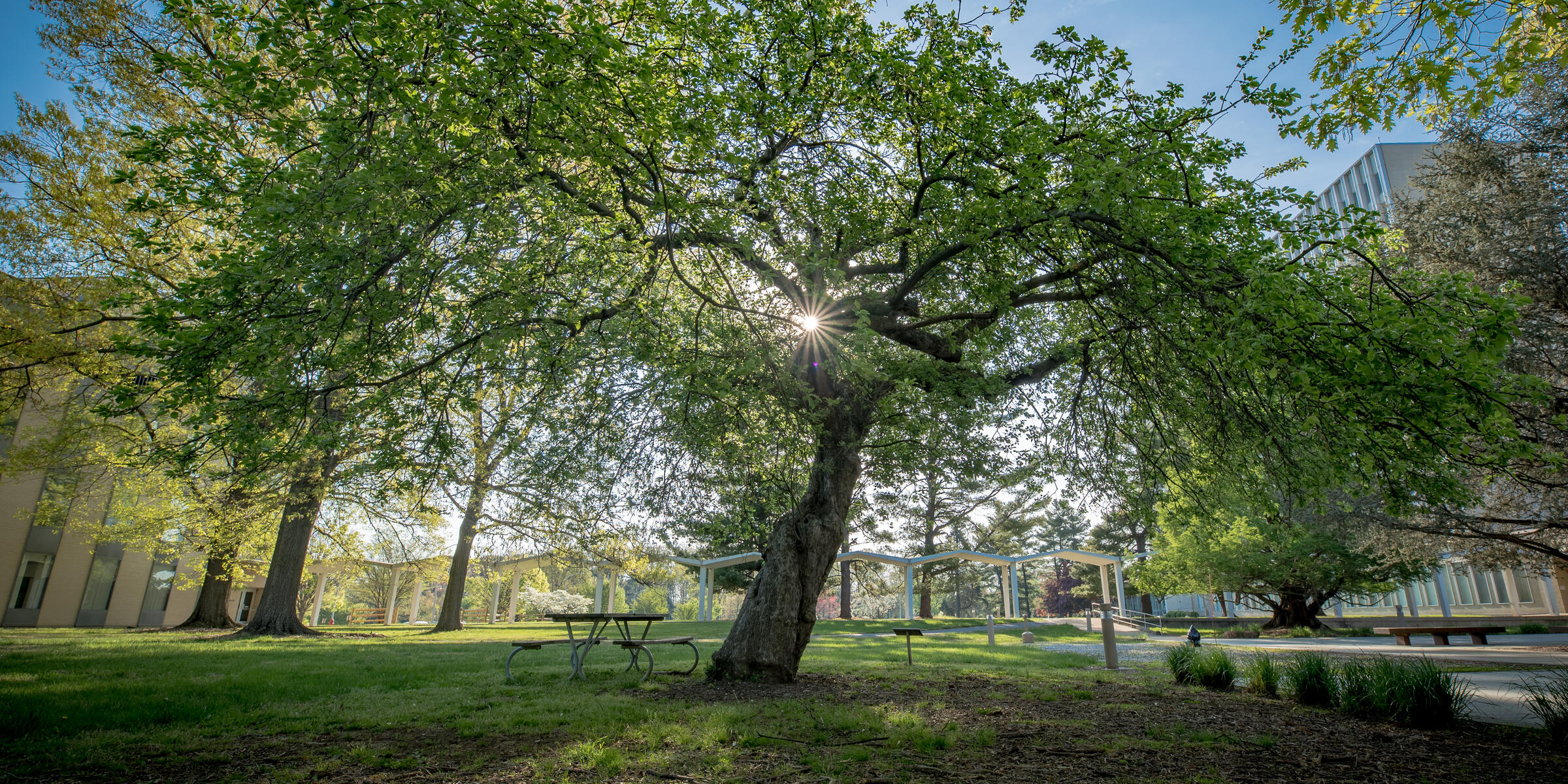 Photograph of the NIST Gaithersburg Campus