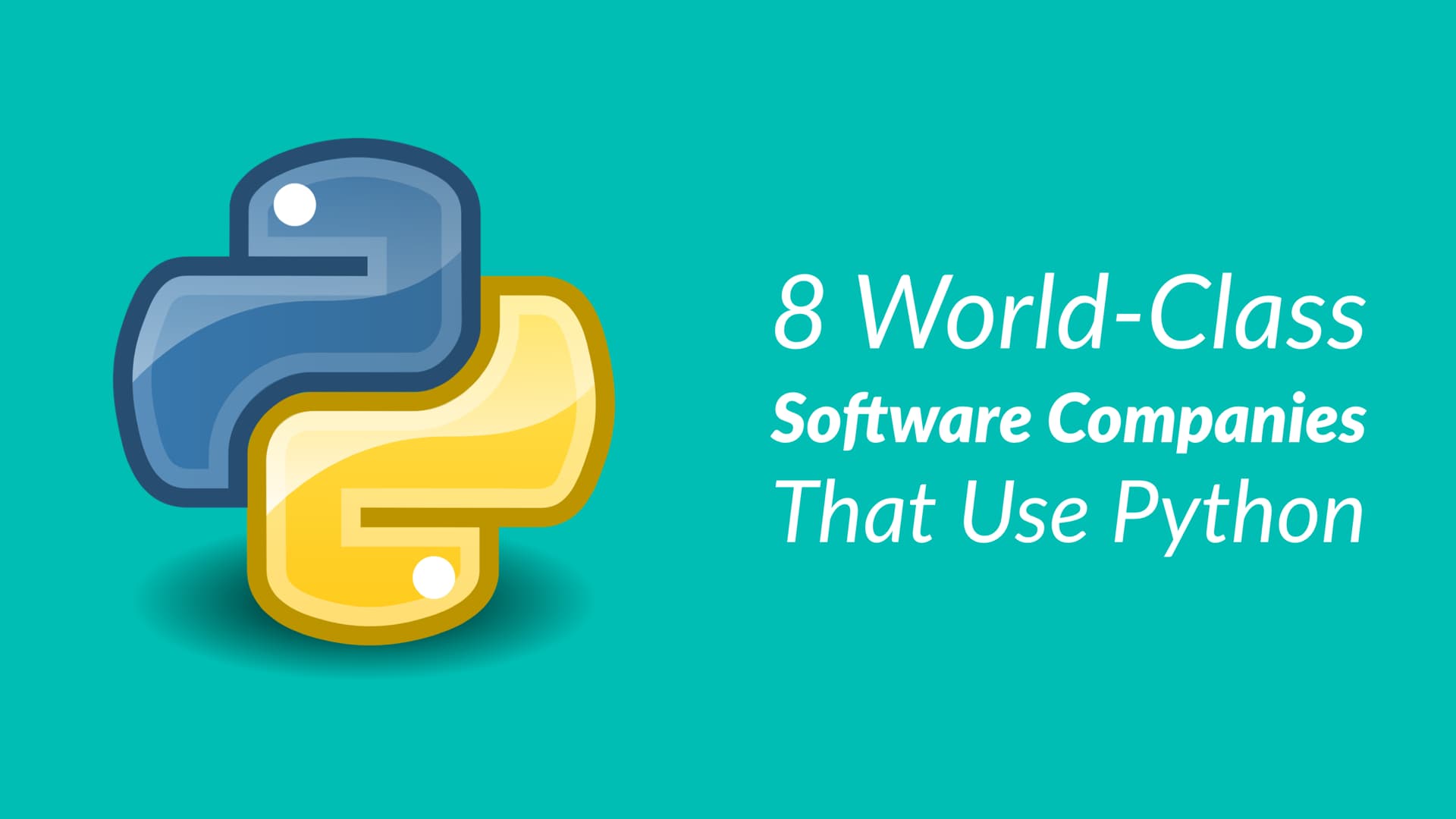World-Class Software Companies Using Python