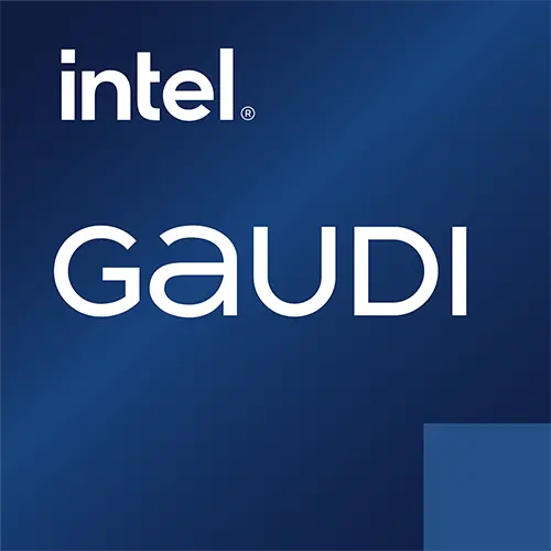 Intel Gaudi