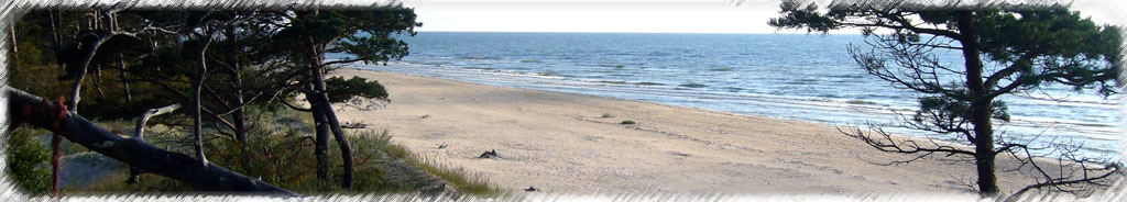 Shore of the Baltic Sea